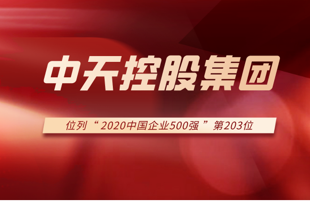尊龙凯时控股集团列2020中国企业500强第203位！